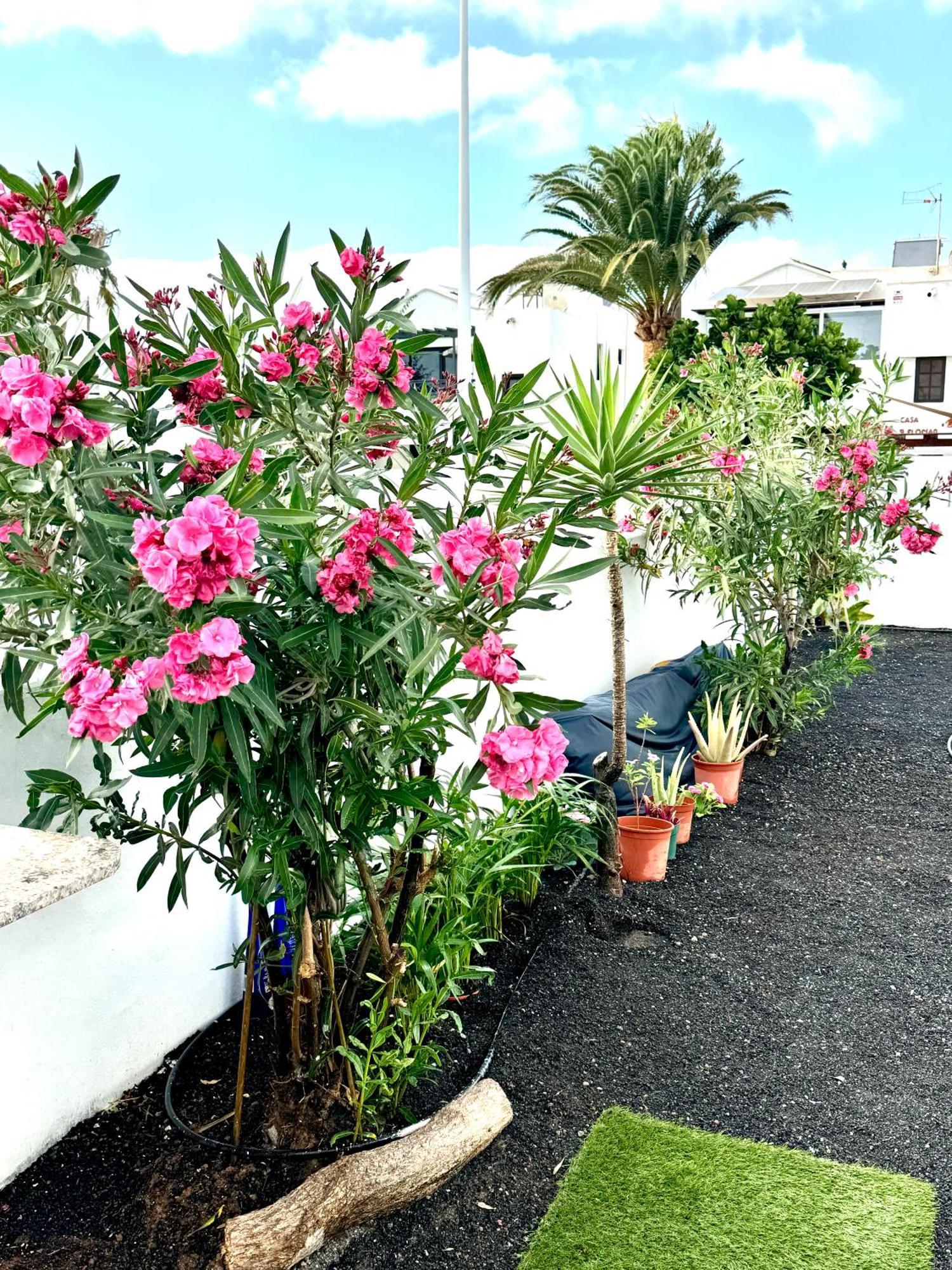 Casa Olas Puerto del Carmen (Lanzarote)